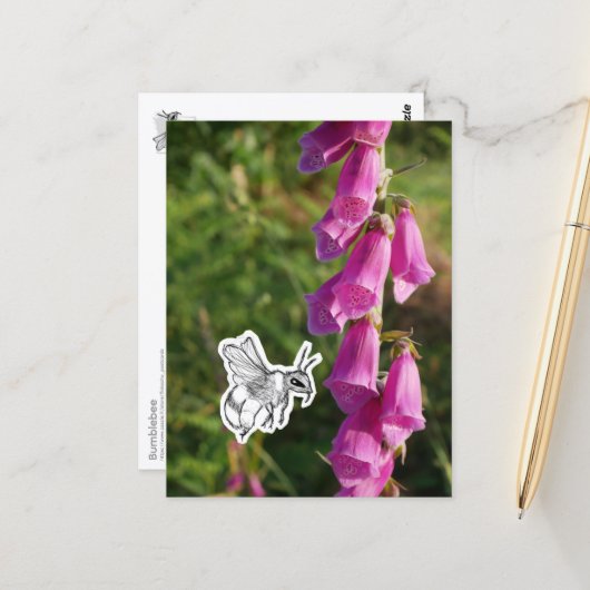 Hummel Postkarte (Vorderseite/Rückseite Beispiel)