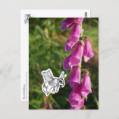 Hummel Postkarte (Vorne/Hinten)