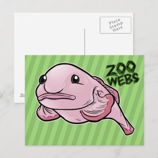 Hummel Postkarte (Vorne/Hinten)