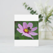 Hummel Postkarte (Stehend Vorderseite)