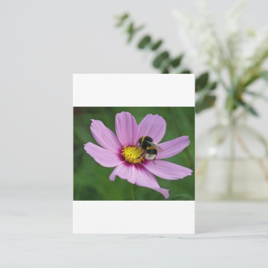 Hummel Postkarte (Stehend Vorderseite)