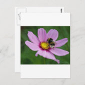 Hummel Postkarte (Vorne/Hinten)