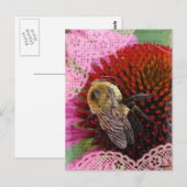 Hummel Postkarte (Vorne/Hinten)