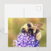Hummel Postkarte (Vorne/Hinten)