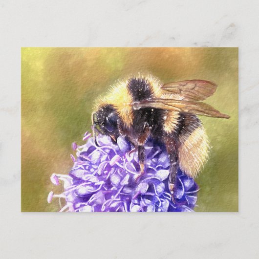 Hummel Postkarte (Vorderseite)