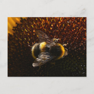 Hummel Postkarte