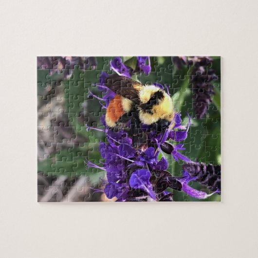 Hummel Puzzle (Horizontal)