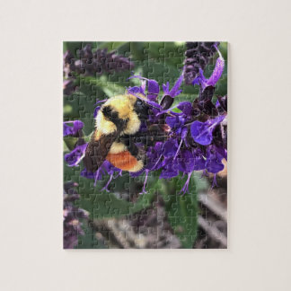 Hummel Puzzle