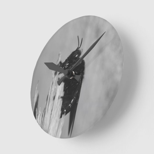 Hummel Runde Wanduhr (Winkel)