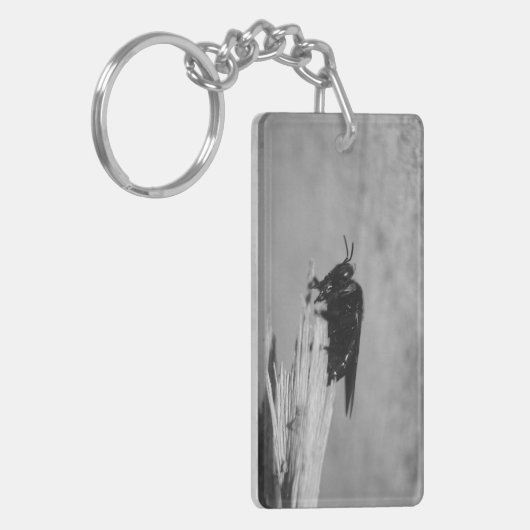 Hummel Schlüsselanhänger (Vorderseite links)