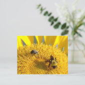 Hummel und Honigbiene Postkarte (Stehend Vorderseite)