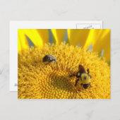 Hummel und Honigbiene Postkarte (Vorne/Hinten)