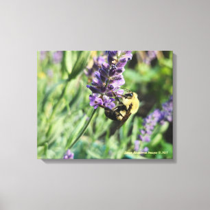 Hummel und Lavendel Leinwanddruck