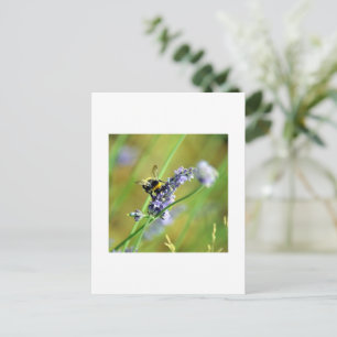 Hummel und Lavendel Postkarte