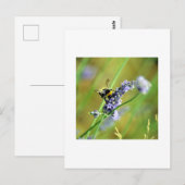 Hummel und Lavendel Postkarte (Vorne/Hinten)