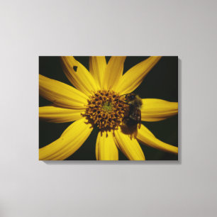 Hummel und Sonnenblumen Leinwanddruck