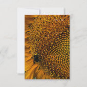 Hummel und Sonnenblumen Mitteilungskarte (Vorderseite)