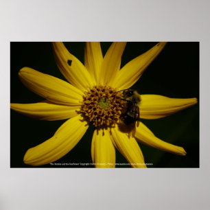 Hummel und Sonnenblumen Poster