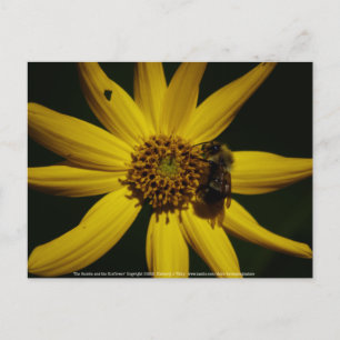 Hummel und Sonnenblumen Postkarte