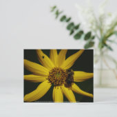 Hummel und Sonnenblumen Postkarte (Stehend Vorderseite)