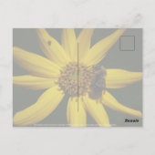 Hummel und Sonnenblumen Postkarte (Rückseite)