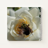 Hummel und weiße Rose Notizblock (Rückseite)