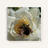 Hummel und weiße Rose Notizblock (Vorderseite)