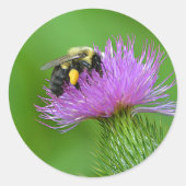 Hummelaufkleber Runder Aufkleber (Vorderseite)