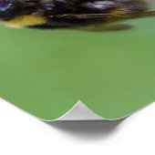 Hummelbeere-Foto Poster (Ecke)