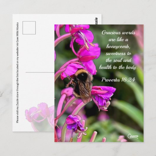 Hummelbibel Verse - Postkarte (Vorne/Hinten)