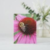 Hummelbiene 2 postkarte (Stehend Vorderseite)