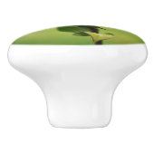 Hummelbiene auf Bienenstöcke Blume Nah Keramikknauf (Seitenansicht)