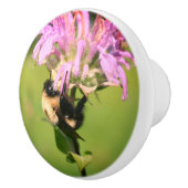 Hummelbiene auf Bienenstöcke Blume Nah Keramikknauf (Rechts)