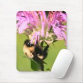 Hummelbiene auf der Bienenbalm-Blume Mousepad (Mit Mouse)
