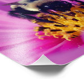 Hummelbiene auf Kosmos-Blume 8x8 Fotodruck (Ecke)