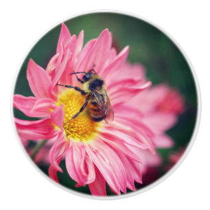 Hummelbiene auf rosa Daisy Blume 2 Keramikknauf