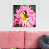 Hummelbiene auf rosa Daisy Blume 2 Leinwanddruck (Insitu (Wohnzimmer))