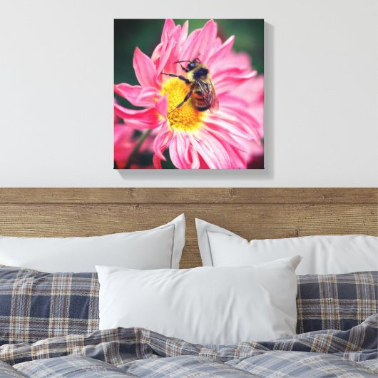 Hummelbiene auf rosa Daisy Blume 2 Leinwanddruck (Insitu (Schlafzimmer))