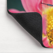 Hummelbiene auf rosa Daisy-Blume Mousepad (Ecke)