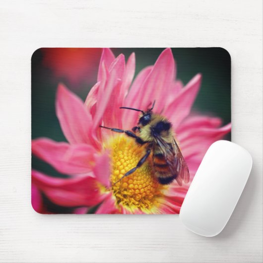 Hummelbiene auf rosa Daisy-Blume Mousepad (Mit Mouse)