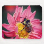 Hummelbiene auf rosa Daisy-Blume Mousepad (Vorne)