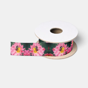 Hummelbiene auf rosa Daisy-Blume Satinband