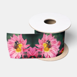 Hummelbiene auf rosa Daisy-Blume Satinband