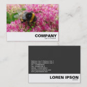 Hummelbiene auf Sedum Visitenkarte (Vorne/Hinten)