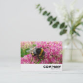 Hummelbiene auf Sedum Visitenkarte (Stehend Vorderseite)