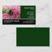 Hummelbiene auf Sedum Visitenkarte (Vorne/Hinten)