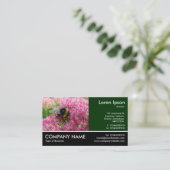 Hummelbiene auf Sedum Visitenkarte (Stehend Vorderseite)