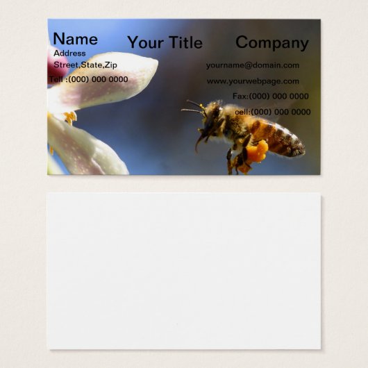 Hummelbiene, die alle von Pollen bedeckt sind (Vorne & Hinten)