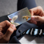 Hummelbiene, die alle von Pollen bedeckt sind Visitenkarte