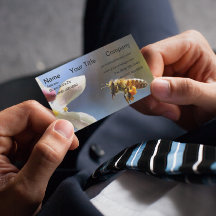 Hummelbiene, die alle von Pollen bedeckt sind